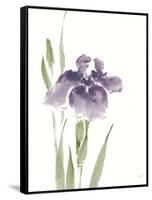 Japanese Iris III Purple Crop-Chris Paschke-Framed Stretched Canvas