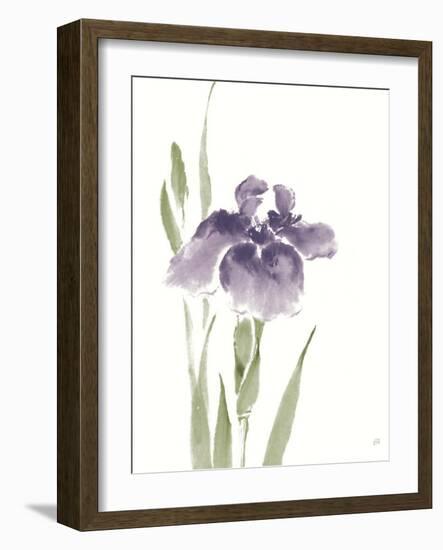 Japanese Iris III Purple Crop-Chris Paschke-Framed Art Print