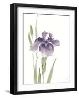 Japanese Iris III Purple Crop-Chris Paschke-Framed Art Print