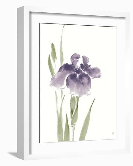 Japanese Iris III Purple Crop-Chris Paschke-Framed Art Print