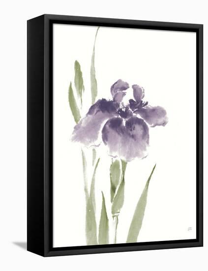 Japanese Iris III Purple Crop-Chris Paschke-Framed Stretched Canvas