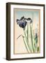 Japanese Irises-Yamagishi-Framed Giclee Print