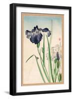 Japanese Irises-Yamagishi-Framed Giclee Print