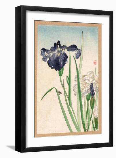 Japanese Irises-Yamagishi-Framed Giclee Print