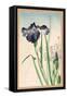 Japanese Irises-Yamagishi-Framed Stretched Canvas