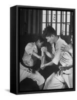 Japanese Karate Student Breaking Boards with Punch-John Florea-Framed Stretched Canvas