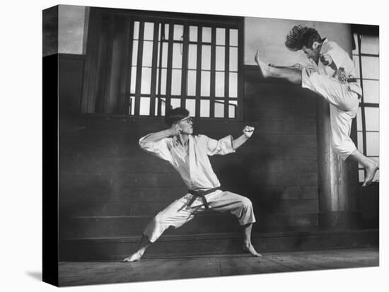 Japanese Karate Students Demonstrating Fighting-John Florea-Stretched Canvas