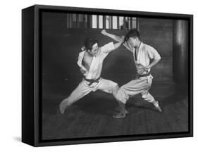 Japanese Karate Students Demonstrating Fighting-null-Framed Stretched Canvas