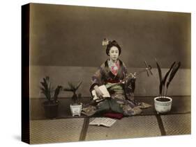 Japanese Lady in Traditional Dress with a Stringed Musical Instrument-null-Stretched Canvas