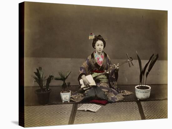 Japanese Lady in Traditional Dress with a Stringed Musical Instrument-null-Stretched Canvas