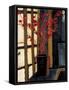 Japanese Lanterns-Liz Jardine-Framed Stretched Canvas