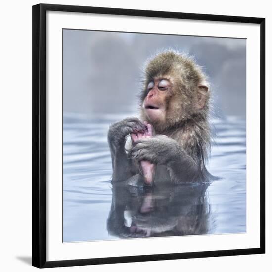 Japanese Macaque (Macaca Fuscata) Baby Enjoying A Relaxing Moment In The Hot Spring In Jigokudani-Diane McAllister-Framed Photographic Print