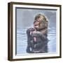 Japanese Macaque (Macaca Fuscata) Baby Enjoying A Relaxing Moment In The Hot Spring In Jigokudani-Diane McAllister-Framed Photographic Print