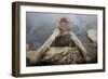 Japanese Macaque (Macaca Fuscata) Relaxing in Hot Spring in Jigokudani-Mark Macewen-Framed Photographic Print