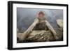 Japanese Macaque (Macaca Fuscata) Relaxing in Hot Spring in Jigokudani-Mark Macewen-Framed Photographic Print