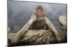 Japanese Macaque (Macaca Fuscata) Relaxing in Hot Spring in Jigokudani-Mark Macewen-Mounted Photographic Print