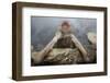 Japanese Macaque (Macaca Fuscata) Relaxing in Hot Spring in Jigokudani-Mark Macewen-Framed Photographic Print