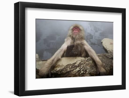 Japanese Macaque (Macaca Fuscata) Relaxing in Hot Spring in Jigokudani-Mark Macewen-Framed Photographic Print