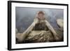 Japanese Macaque (Macaca Fuscata) Relaxing in Hot Spring in Jigokudani-Mark Macewen-Framed Photographic Print