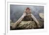 Japanese Macaque (Macaca Fuscata) Relaxing in Hot Spring in Jigokudani-Mark Macewen-Framed Photographic Print