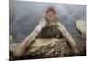 Japanese Macaque (Macaca Fuscata) Relaxing in Hot Spring in Jigokudani-Mark Macewen-Mounted Photographic Print