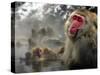 Japanese Macaque Monkeys in a Hot Spring in the Snow at Jigokudani Wild Monkey Park, Nagano-null-Stretched Canvas