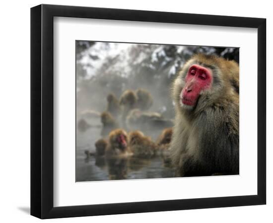Premium Photographic Print, , large