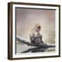 Japanese Macaque on a Log-Svetlana Foote-Framed Photographic Print