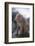 Japanese Macaque on Rock-DLILLC-Framed Photographic Print
