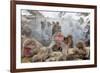 Japanese Macaque, Snow Monkey, Joshin-etsu NP, Honshu, Japan-Peter Adams-Framed Photographic Print