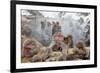 Japanese Macaque, Snow Monkey, Joshin-etsu NP, Honshu, Japan-Peter Adams-Framed Photographic Print