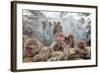 Japanese Macaque, Snow Monkey, Joshin-etsu NP, Honshu, Japan-Peter Adams-Framed Photographic Print