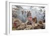 Japanese Macaque, Snow Monkey, Joshin-etsu NP, Honshu, Japan-Peter Adams-Framed Photographic Print