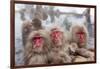 Japanese Macaque, Snow Monkey, Joshin-etsu NP, Honshu, Japan-Peter Adams-Framed Photographic Print