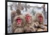 Japanese Macaque, Snow Monkey, Joshin-etsu NP, Honshu, Japan-Peter Adams-Framed Photographic Print