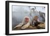 Japanese Macaque, Snow Monkey, Joshin-etsu NP, Honshu, Japan-Peter Adams-Framed Photographic Print