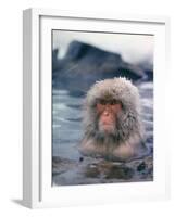 Japanese Macaque, Snow Monkey Sitting in Waters of Hot Spring in Shiga Mountains During a Snowfall-Co Rentmeester-Framed Photographic Print