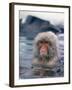 Japanese Macaque, Snow Monkey Sitting in Waters of Hot Spring in Shiga Mountains During a Snowfall-Co Rentmeester-Framed Photographic Print