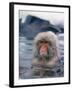 Japanese Macaque, Snow Monkey Sitting in Waters of Hot Spring in Shiga Mountains During a Snowfall-Co Rentmeester-Framed Photographic Print