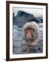 Japanese Macaque, Snow Monkey Sitting in Waters of Hot Spring in Shiga Mountains During a Snowfall-Co Rentmeester-Framed Photographic Print