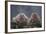 Japanese Macaques in Hot Spring-DLILLC-Framed Photographic Print