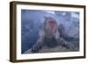 Japanese Macaques in Hot Spring-DLILLC-Framed Photographic Print