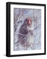 Japanese Macaques in Shiga Mountains of Japan-Co Rentmeester-Framed Photographic Print