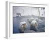 Japanese Macaques Sitting in Hot Spring in Shiga Mountains-Co Rentmeester-Framed Photographic Print