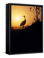 Japanese Manchurian Crane Silhouette-null-Framed Stretched Canvas