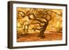 Japanese Maple 2-Moises Levy-Framed Photographic Print