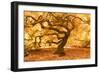 Japanese Maple 2-Moises Levy-Framed Photographic Print