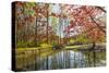 Japanese Maple and Pond in Spring-Richard T. Nowitz-Stretched Canvas