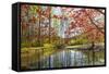 Japanese Maple and Pond in Spring-Richard T. Nowitz-Framed Stretched Canvas