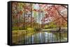 Japanese Maple and Pond in Spring-Richard T. Nowitz-Framed Stretched Canvas